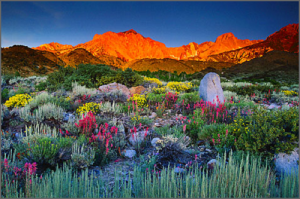Landscape photographer Galen Rowell - Art Kaleidoscope