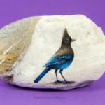 Stunning painted stone - a bird