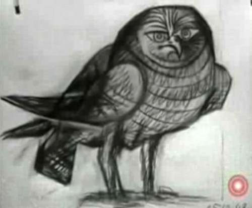 Drawing by Pablo Picasso “Owl”