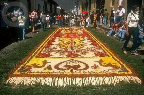 Birds of paradise Sand Carpet