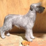 Miniature Of Irish Wolfhound Art Kaleidoscope Miniature Of Irish Wolfhound Art